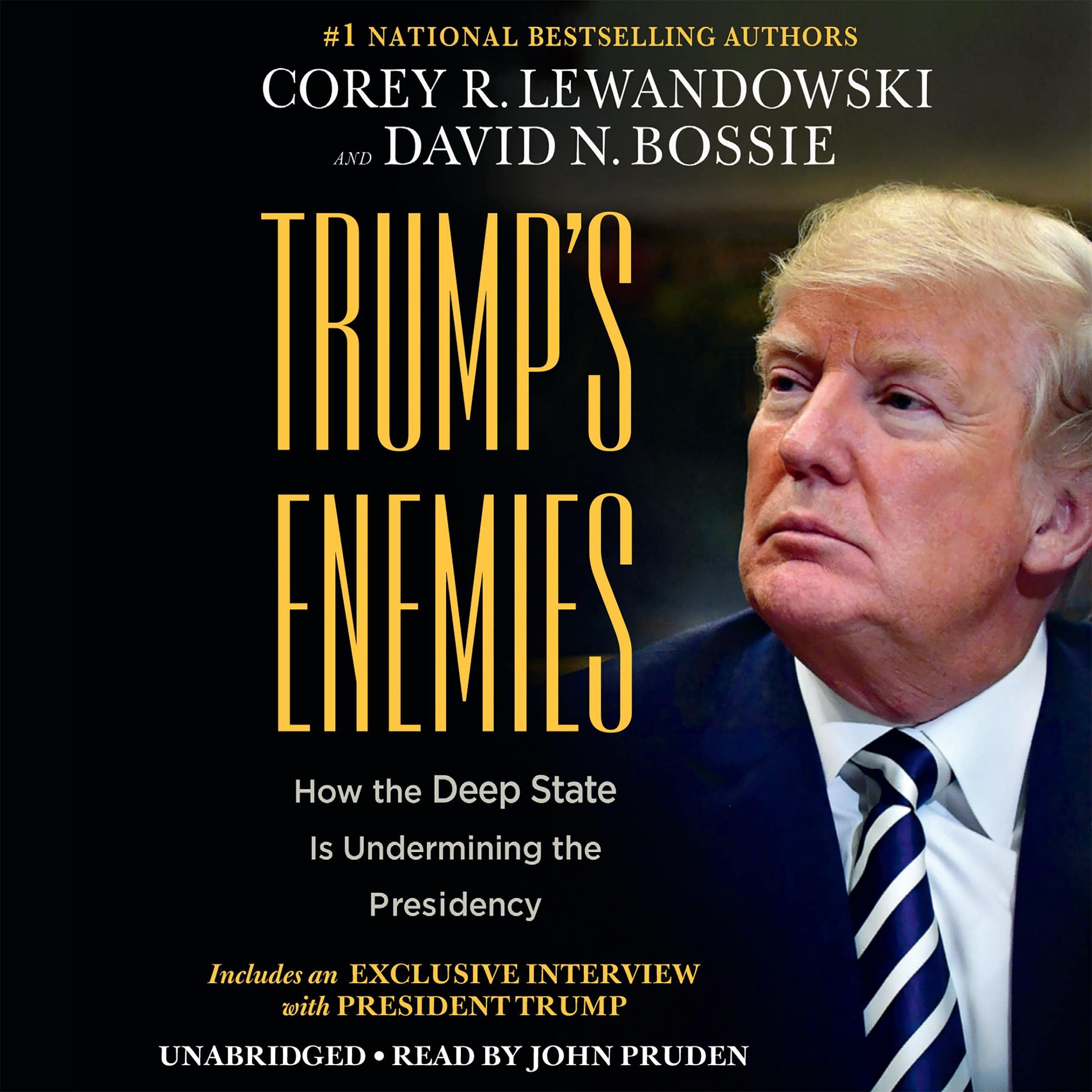 Cover art for Trump's Enemies