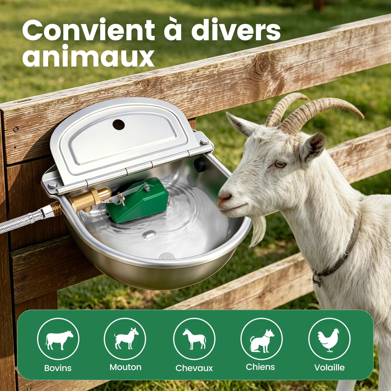 Abreuvoir Automatique en Acier Inoxydable 4L, Abreuvoir pour Chevaux et Bovins avec Vanne Flottante en Laiton et Trou de Vidange, Adapté aux Chevaux, Bovins, Chèvres, Moutons et Chiens