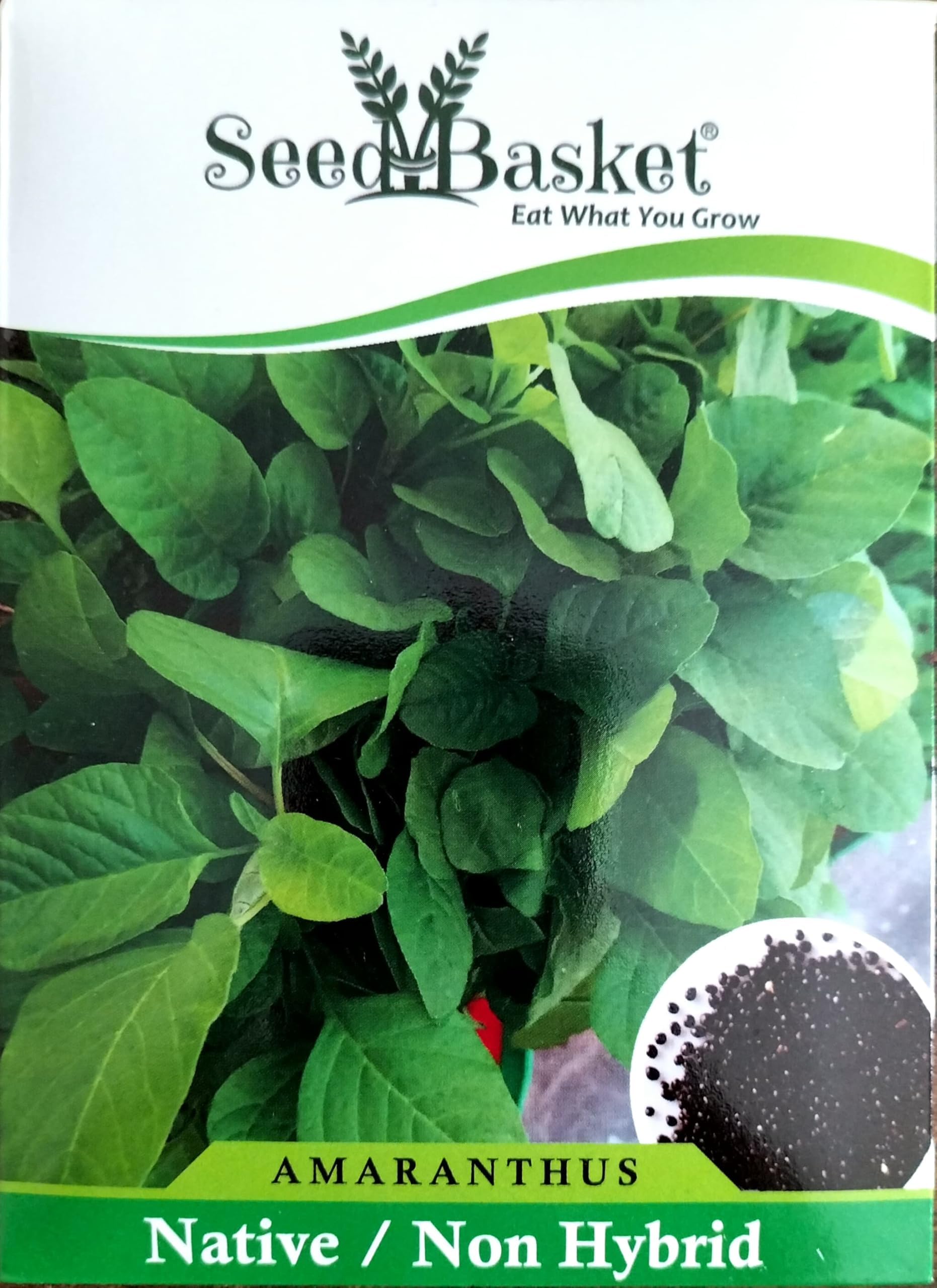 Amaranth Seeds - Grow Your Own Unique Greens -1