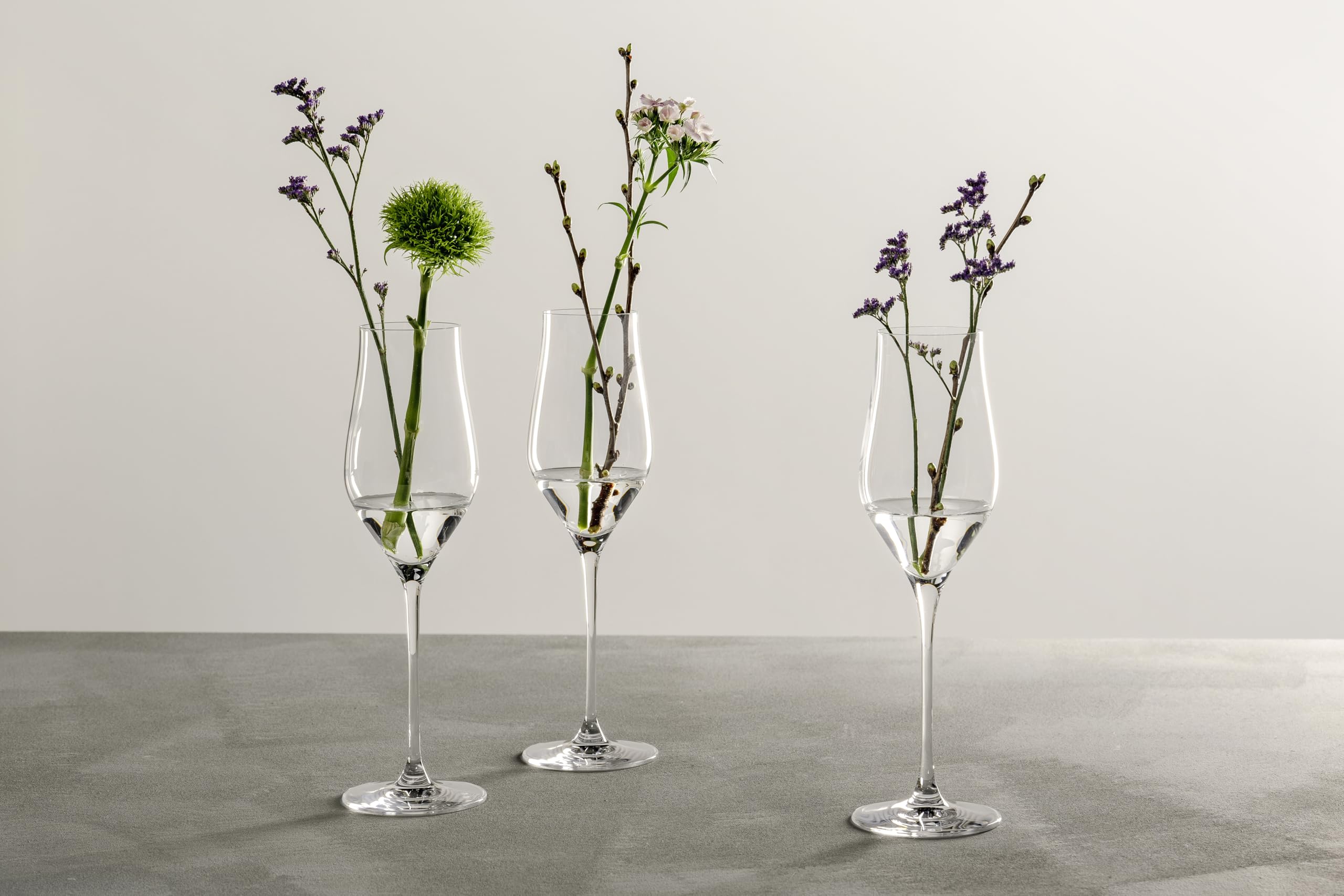 LEONARDO HOME Brunelli Sekt-Gläser 6er Set • spülmaschinenfeste Prosecco-Kelche • Champagner-Glas mit gezogenem Stiel • Schaum-Wein Gläser • 340 ml • 066408