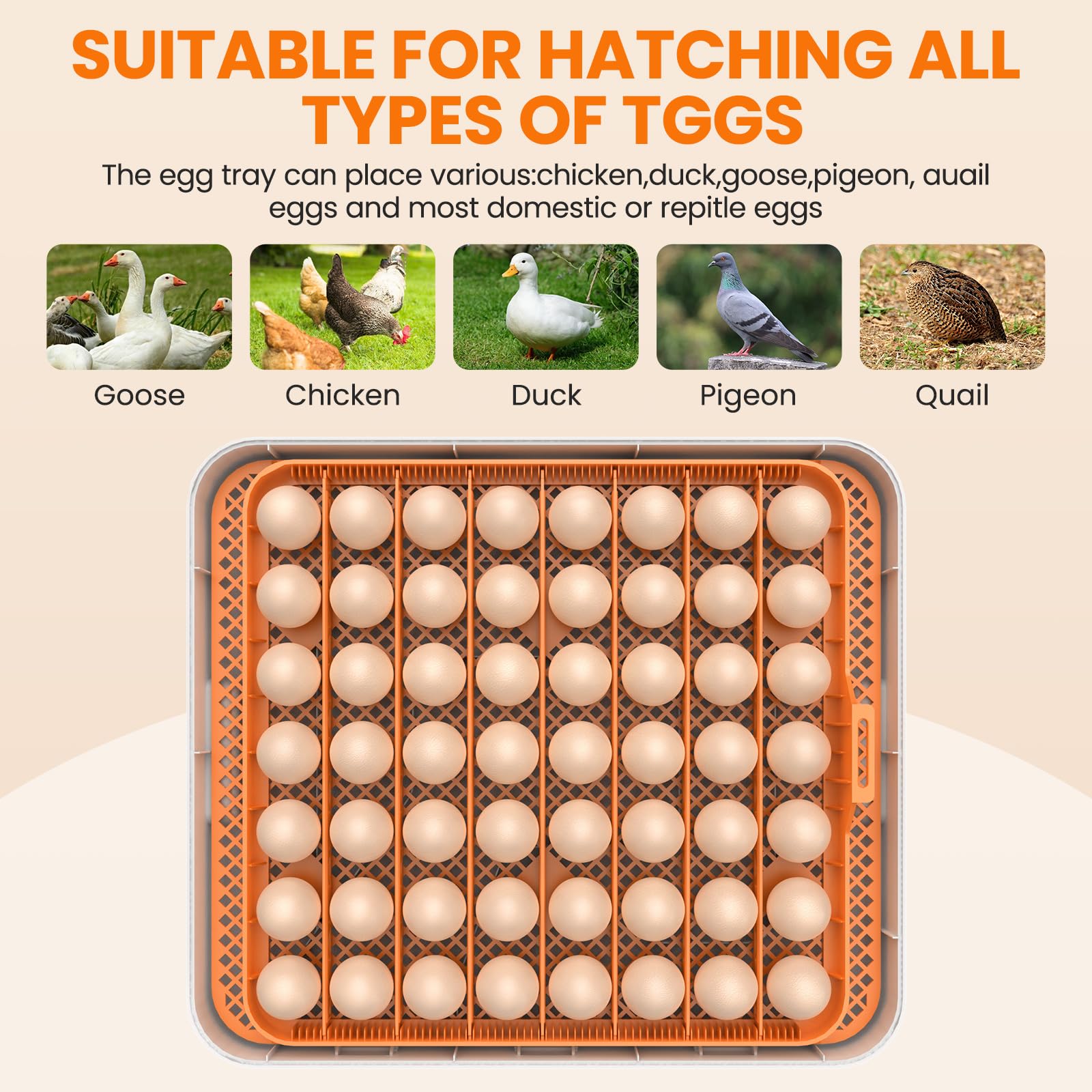 Incubadora de Huevos Automática 56 Huevos, Incubadora Huevos Gallina, Volteo y Recarga de Agua Automáticos, Pantalla + Alarma Temp/humedad, para Huevos Gallina, Pato, Codorniz