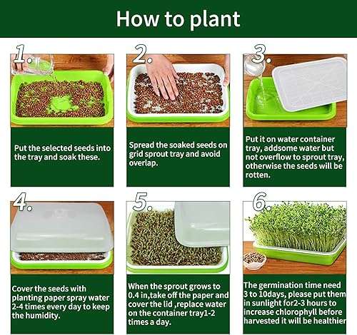 Miniatura 5 de Paquete de 3 bandejas para germinar semillas, bandeja de germinación sin tierra, kit de cultivo de microgreens con tapa, sin BPA, kit de germinación