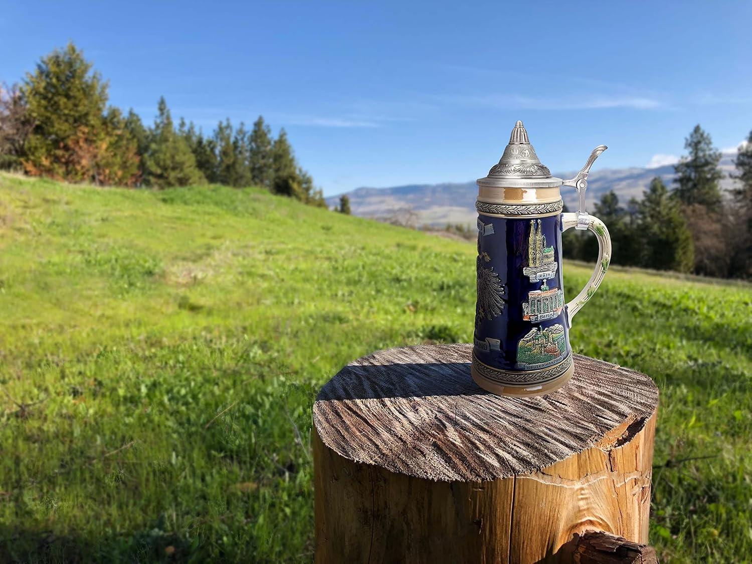 Essence of Europe Gifts 0.7 Liter Deutschland German Beer Stein with Lid - Tankard Blue Hand Painted Engraved Cities of Germany Mug Beer Steins - Tankard Beer Mug