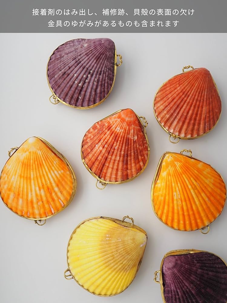 赤色貝殻型置物 約8cm x 7cm Amazon.co.jp: 【貝殻の問屋さん】貝殻の小物入れ ヒオウギガイ赤系