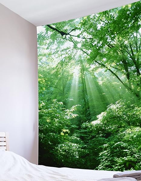 Amazon Co Jp Lb 自然風景 タペストリー 森 木 オシャレ 壁掛け 装飾布 インテリア ウォールアート 布ポスター お部屋 リビング お店 個性ギフト 新居祝い 布製 100ｘ150cm ホーム キッチン