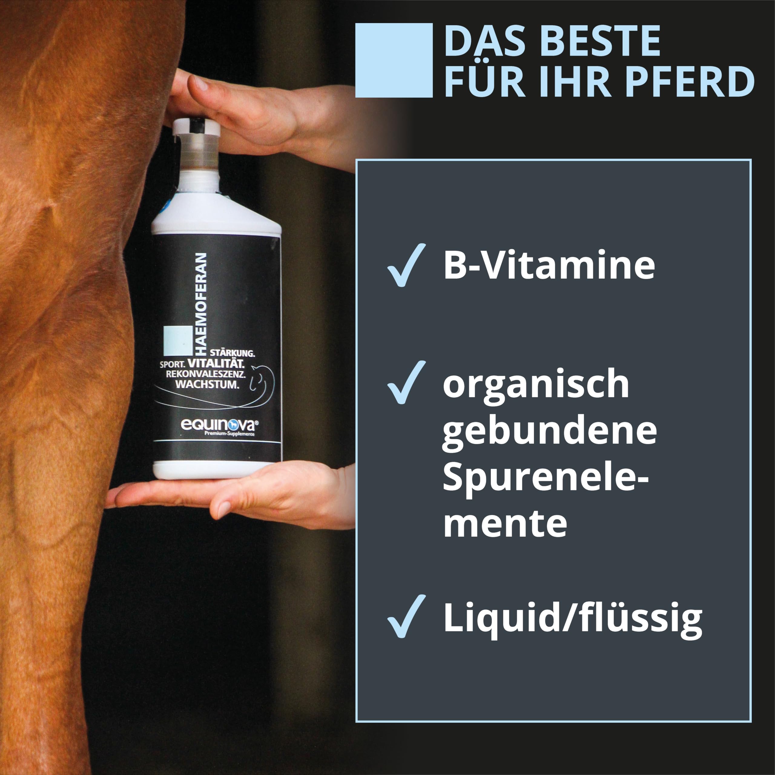 HAEMOFERAN Liquid 1l – mit Vitaminen, Spurenelementen, Zink, Kupfer Ergänzungsfuttermittel für Pferde – stärkt das Immunsystem bei erhöhtem Nährstoffbedarf
