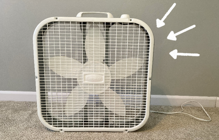 Watch Honest review of Lasko 20 inch Box Fan on Amazon Live
