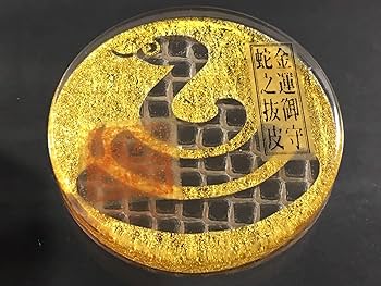 縁起物！額入り∞蛇のぬけがら　金運　幸運　シマヘビ　爬虫類 縁起物！額入り∞蛇のぬけがら 金運 幸運 シマヘビ 爬虫類