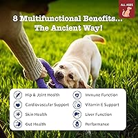 Vista 2 de Zesty Paws Multivitamínico para perros, vitaminas masticables para perros y suplementos para cadera y articulaciones, piel y pelaje, aceite