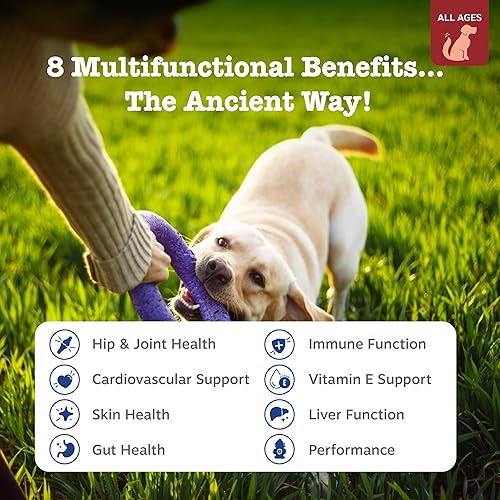 Miniatura 47 de Zesty Paws Multivitamínico para perros, vitaminas masticables para perros y suplementos para cadera y articulaciones, piel y pelaje, aceite