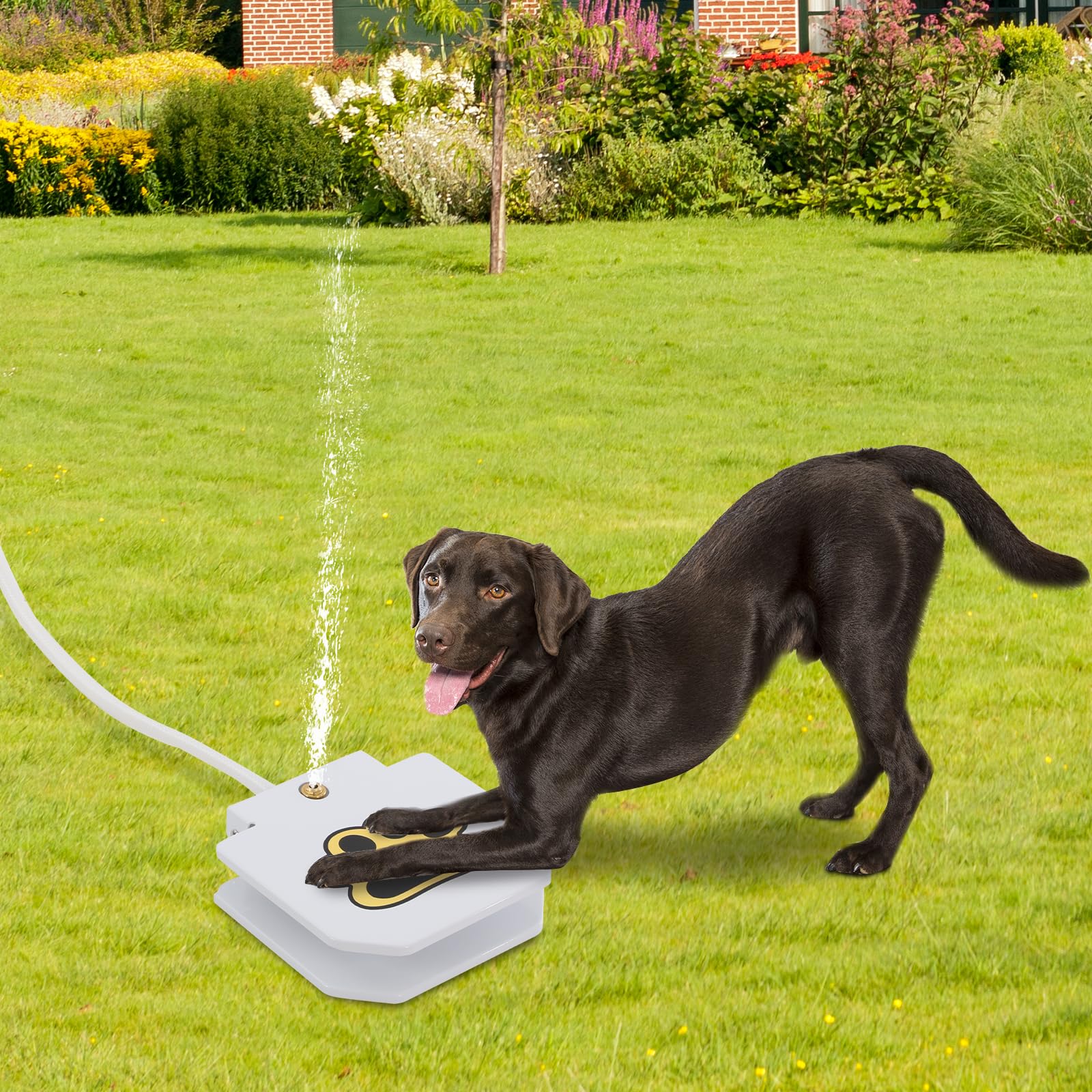 Trinkbrunnen für Hund und Haustier, Leicht Aktivierbarer Hunde-Wasserspender mit Schlauch, Step On Spielzeug mit Gartenschlauch Anschluss, Outdoor Pfoten Aktivierter Trink Haustierspender