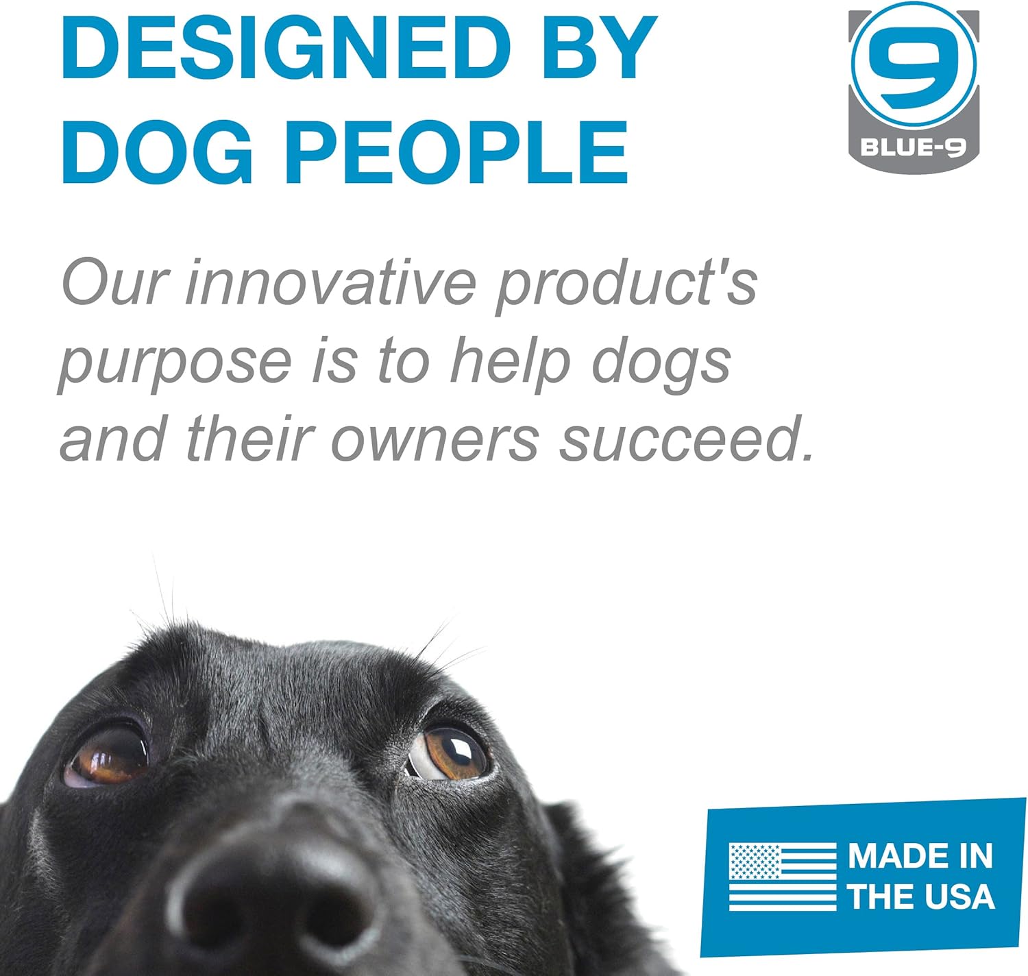 Blue-9 KLIMB Training Kit, Professionally Designed Dog Platform and Accessories for Training and Agility and Accessories, Made in The USA, Blue