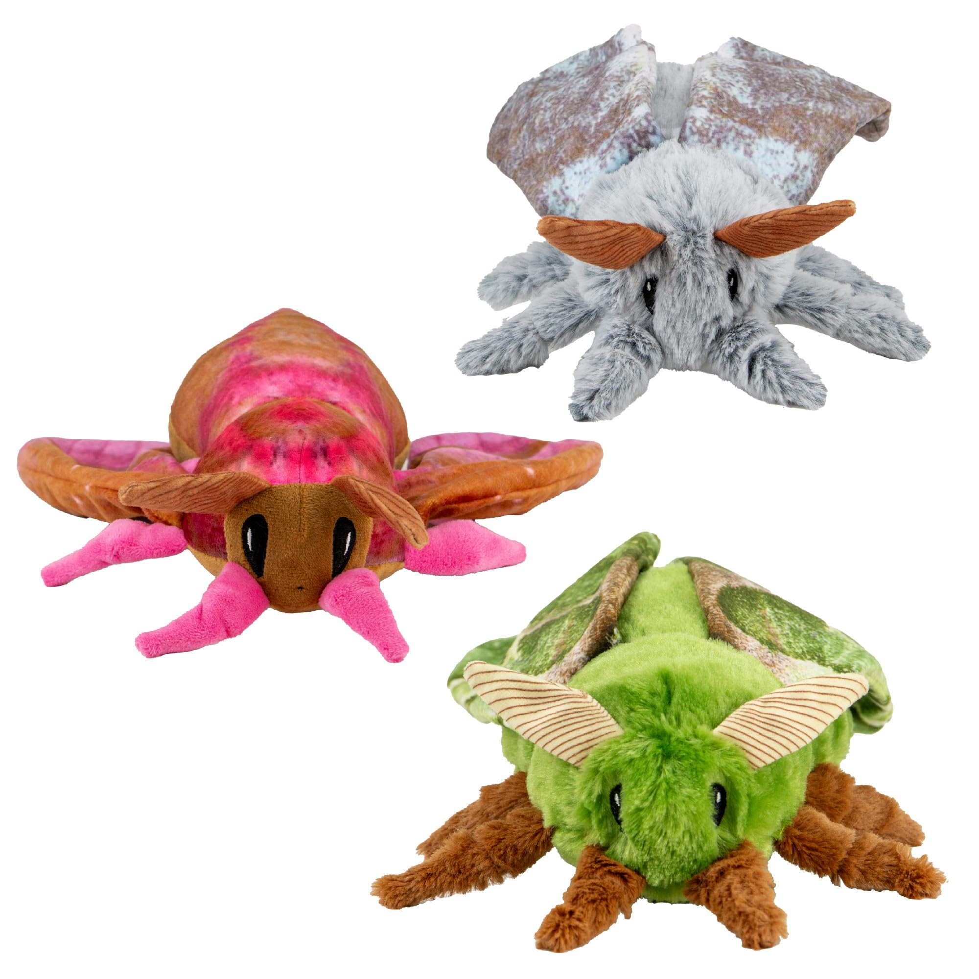 Ancol Play Time For Dogs Fluffy Moth with Crinkle and Squeak for Cuddling and Gentle Play PACK 3 DESIGNS