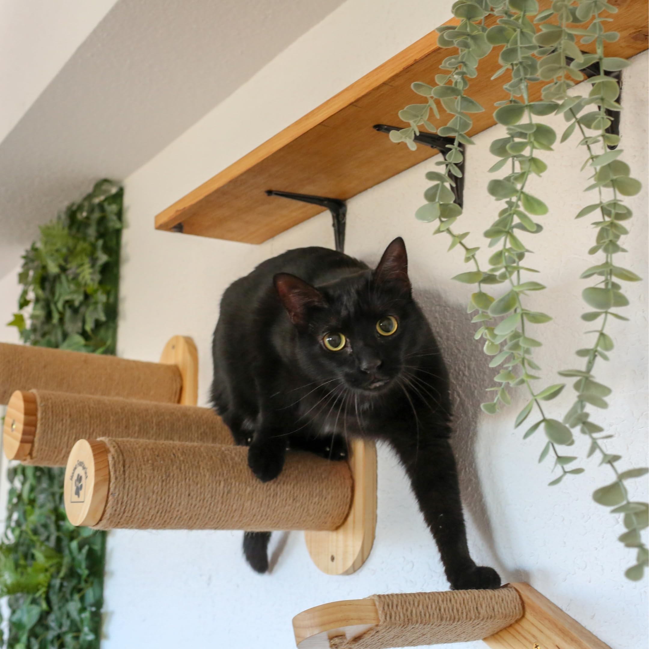 Ponte E Mensole Per Gatti Da Parete - Gioco Arrampicata Per Gatti Con Base Antiscivolo - Foto 9