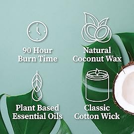 Hemlock Park Crackling Wood Wick Candle Handcrafted with Natural Coconut Wax (Large 16 oz, Smoked Palo Santo)