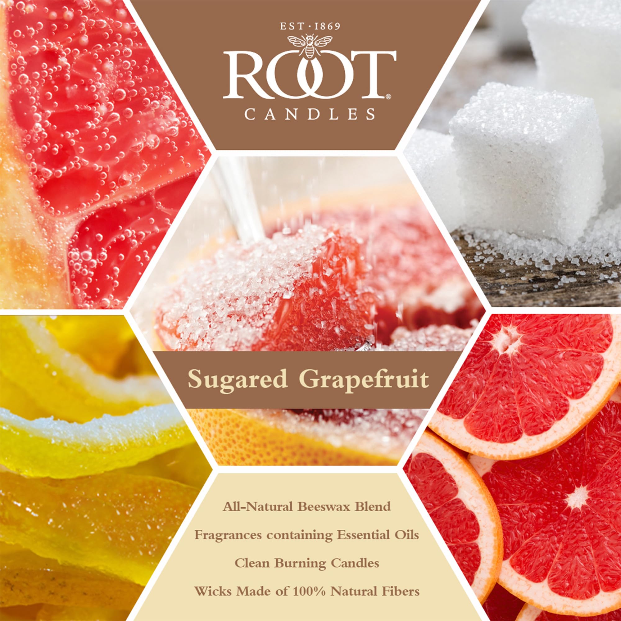 Root Legacy veriglass Duft Bienenwachs Kerze, groß, Apple Orchard, Sugared Grapefruit, Large