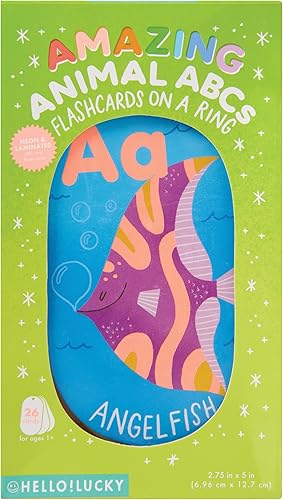 Miniatura 9 de C.R. Gibson BFC4-25077 Hello Lucky Feelings and Needs Emotions - Tarjetas flash para niños pequeños y niños, multicolor, 24 piezas de juego