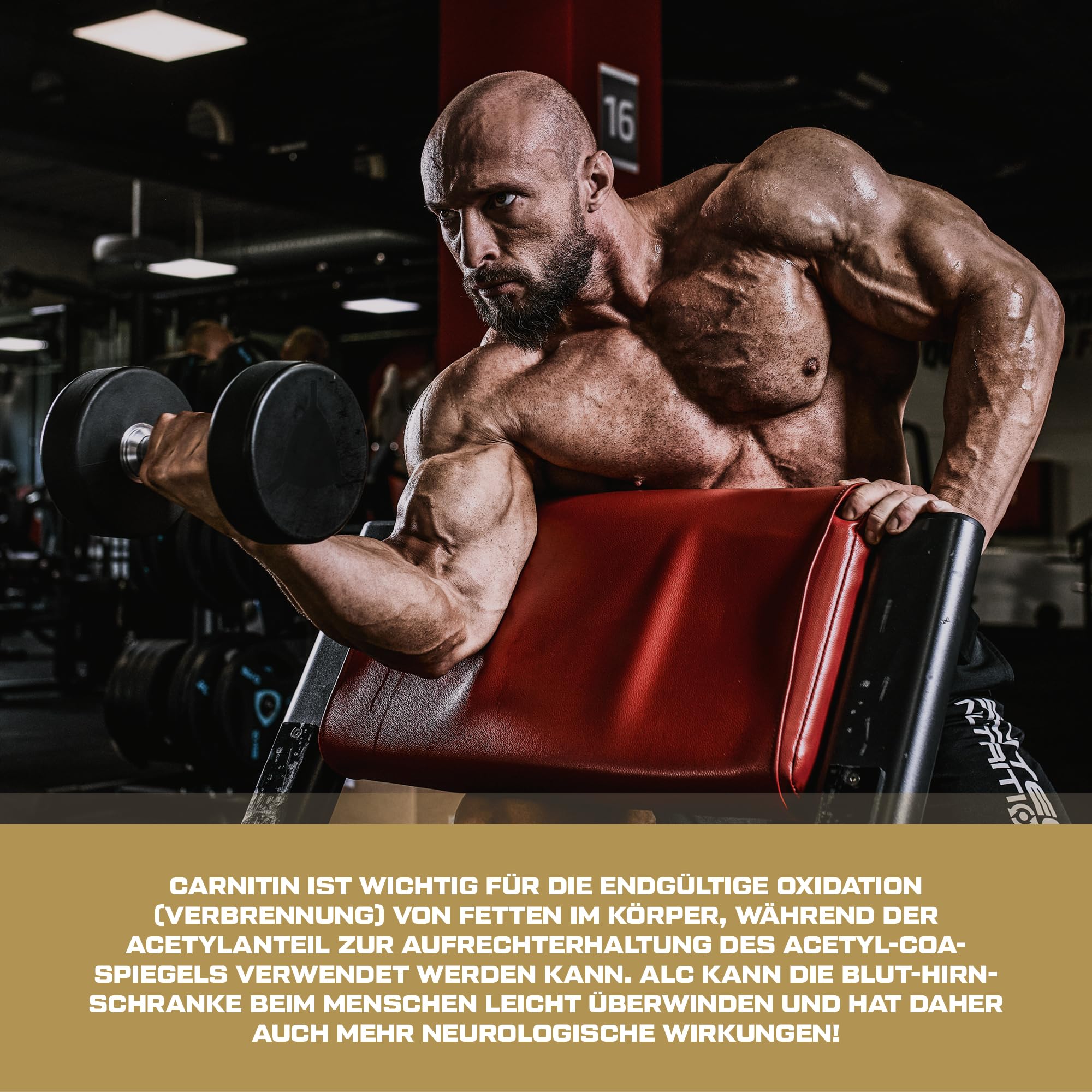 Scitec Nutrition Hyper Carnitine - Acetyl-L-Carnitin-Kapseln