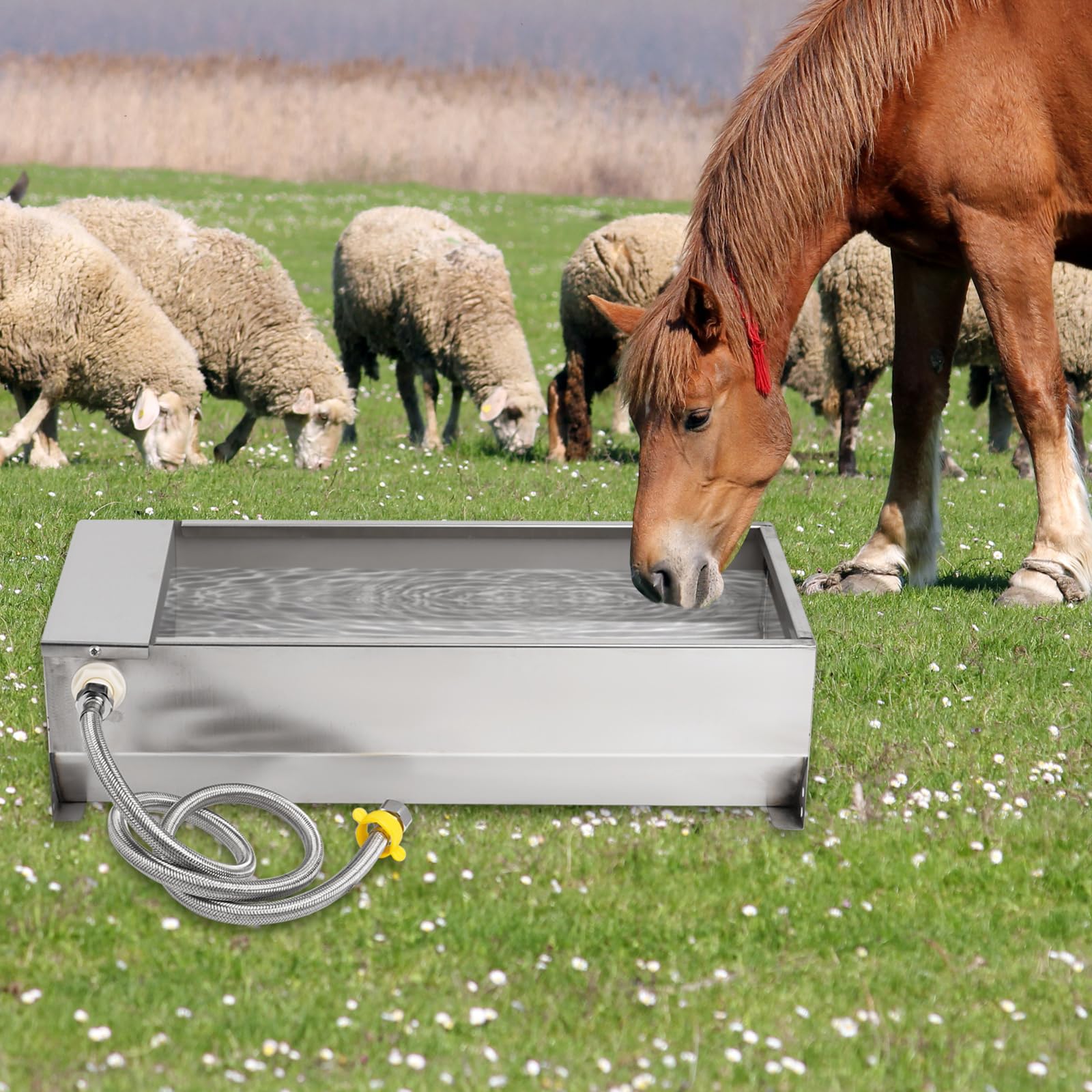 Serbatoio Automatico Per L'Abbeveraggio del Bestiame con Valvola a Galleggiante da 1/2 Pollice Per Cavalli, Bacino Per Capre Per Bovini, Cavalli, Pecore, Cani Kit Per L'Abbeveraggio del Pollame