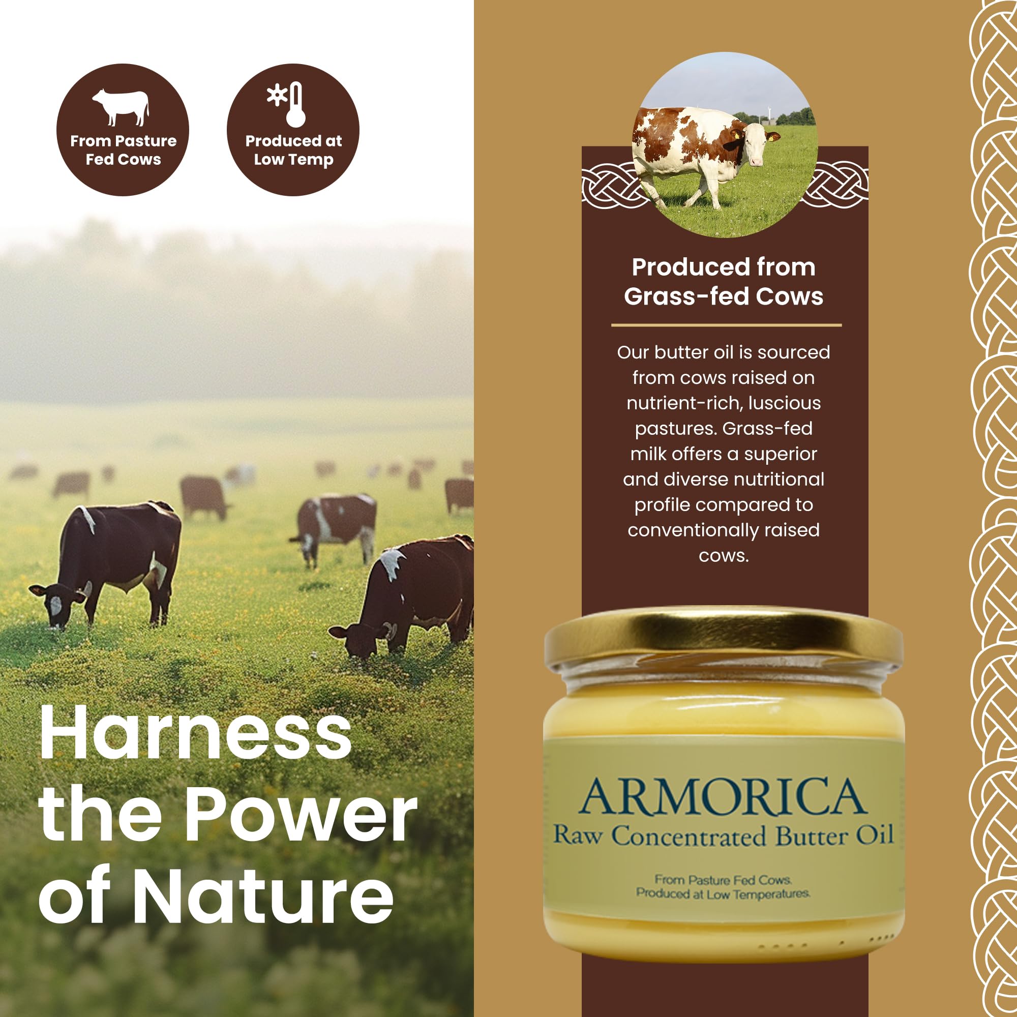 ARMORICA Aceite de mantequilla concentrado 230 g Hecho de leche de vaca alimentada con pasto Fuente de vitaminas solubles en grasa Rico en grasas saludables