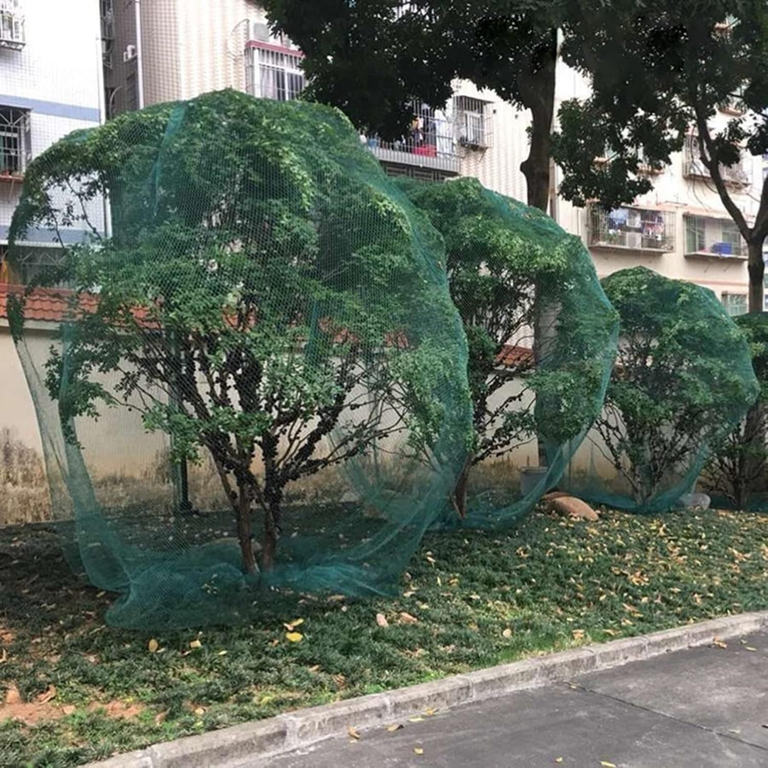 Reti verdi for uccelli Bacche Cespugli a traliccio for giardino Piante/alberi da frutto/verdure/animali Recinzioni in filo di nylon(10x10/33x33ft)
