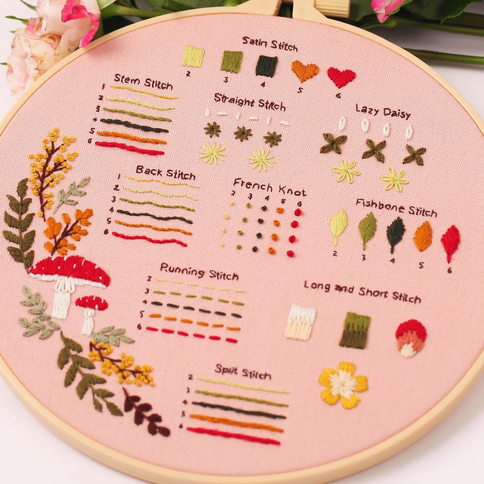 QEEYON Kit de Démarrage de Broderie, 3 Pcs Fils à Broder, 30 Points Différents, pour Adultes, Aiguilles de Fils de Couleur, Cerceaux