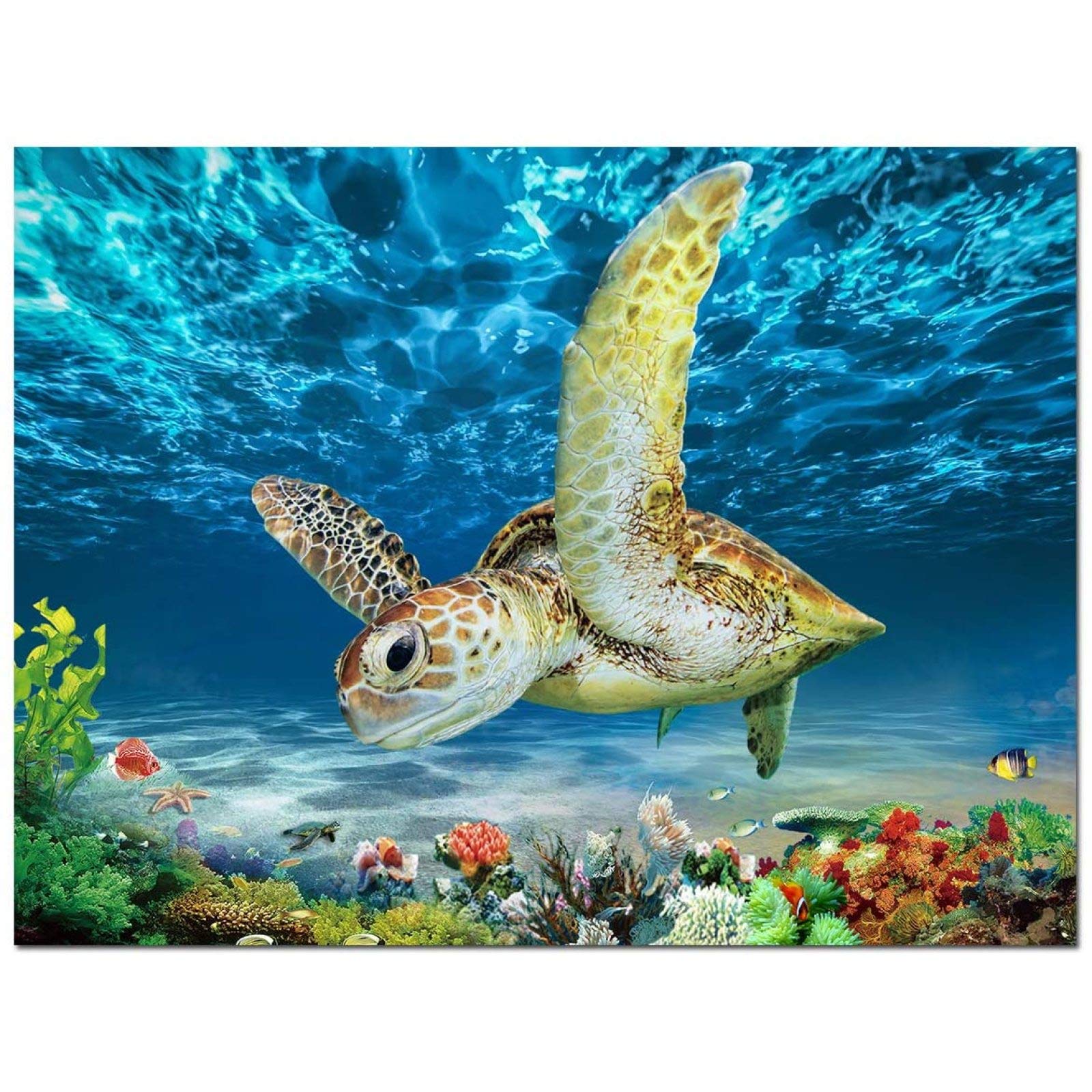 Paysage De Bord De Mer Avec Vue Sur Le Coucher Du Soleil Et Affiche De Palmiers Style