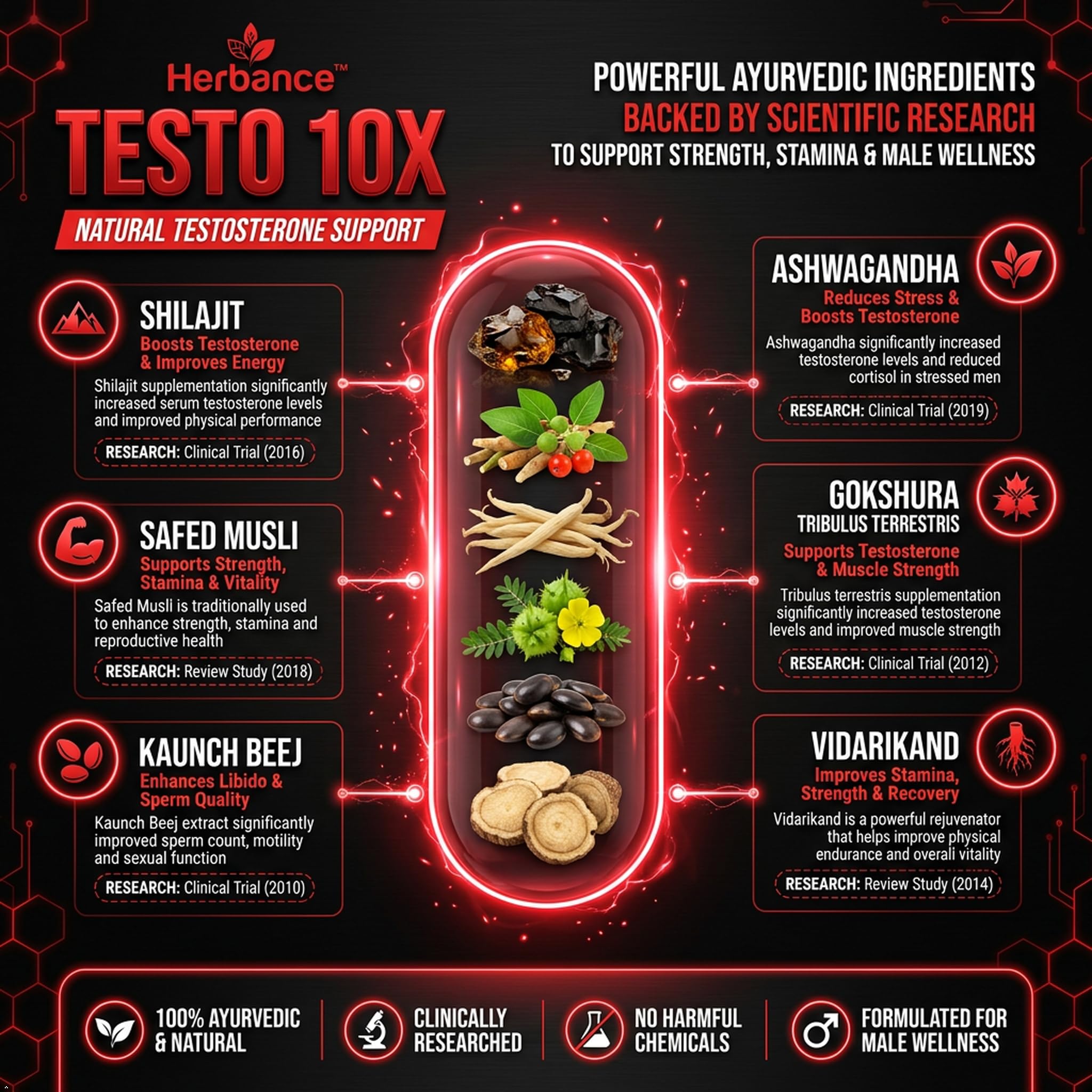 Testo 10X Ayurvedic Testosterone Support for Men | With Shilajit, Ashwagandha, Safed Musli, Kaunch Beej, Gokshura, Vidarikand & Akarkara | Supports Energy, Strength, Stamina, Vitality & Performance |60 Tablets | Pack of 1 — Amazon image 3
