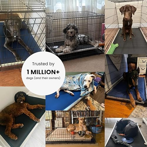 Miniatura 7 de K9 Ballistics Cama acolchada para perros a prueba de mordidas para masticadores ansiososagresivos, prácticamente indestructible, patas incluidas,