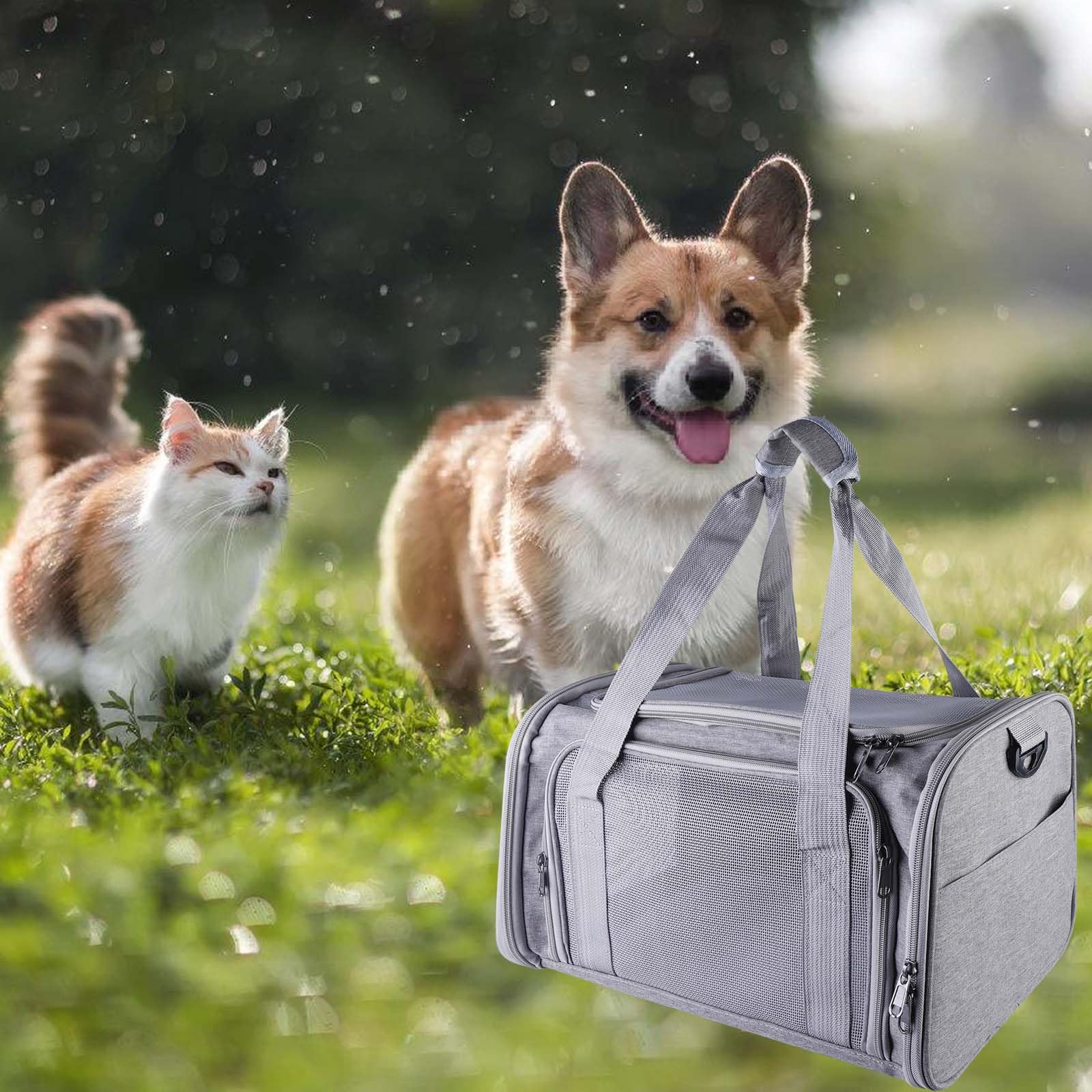 40*25*25cm Katzentransporttasche Haustiertasche kleine, 3kg Faltbare Transportbox Katze mit Schulterriemen Transportbox Katze Katzentransportbox Hunde Katzen Transportboxen für kleine Katzen Hunde-S