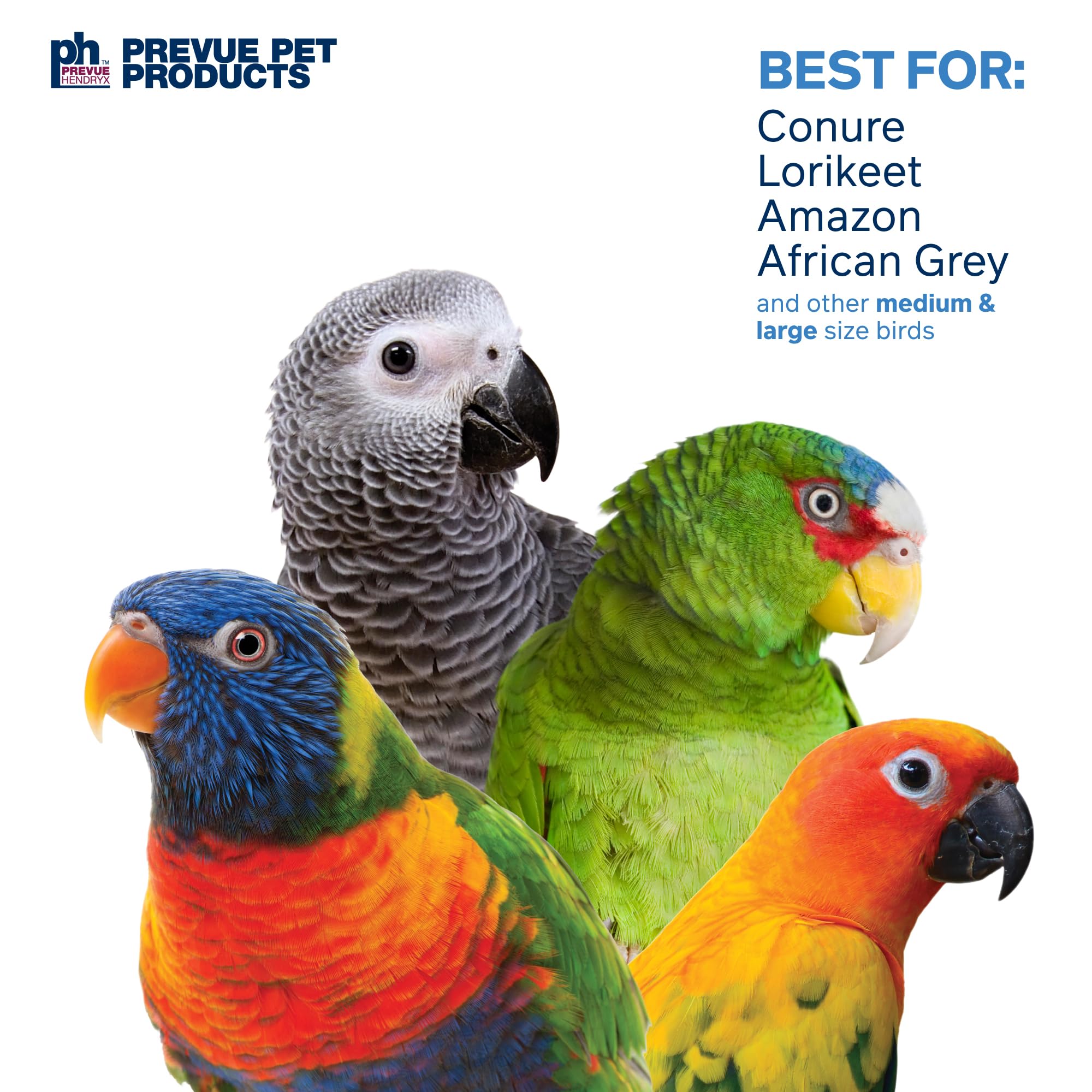 PREVUE PET PRODUCTS Sink 'n Seek 60250 Juguete para pájaros Playfuls Forage & Engage