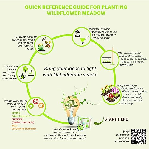 Miniatura 8 de Outsidepride 1000 semillas anuales de margaritas africanas blancas para plantar