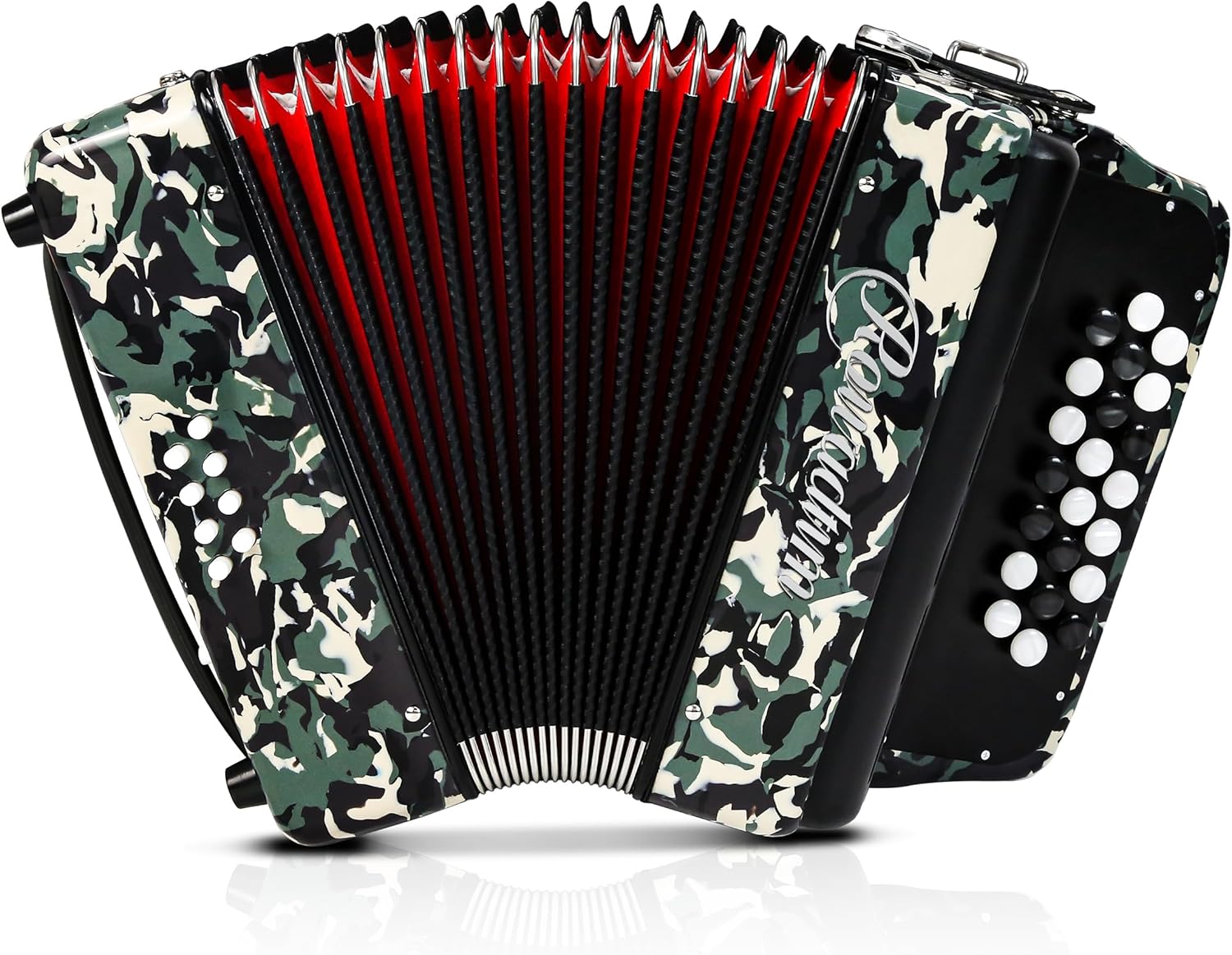 Accordion - 22 keys 8 bass, lightweight piano accordion for beginners, vibrant design for beginners and adults for easy learning (8 Bass, Multicolor)