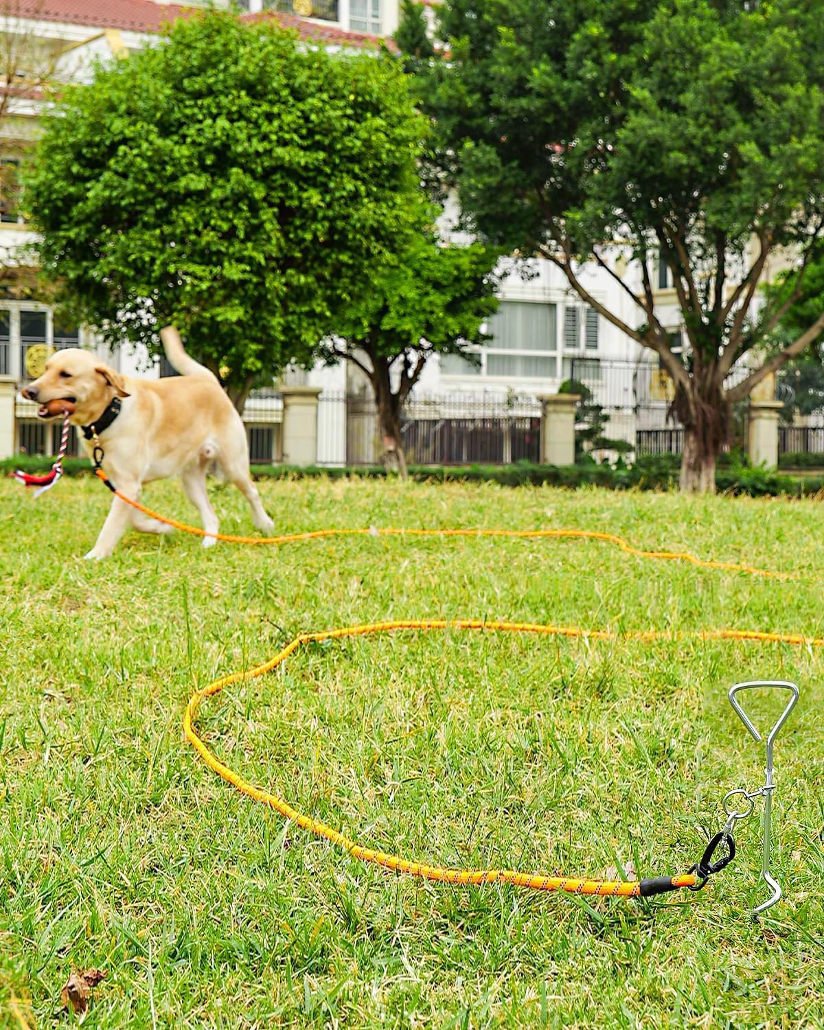 Joytale Guinzaglio Addestramento per Cani, Lunghina 5/10/15/20 Metri con Gancio Robusto e Manico Imbottito, per Taglia Piccola e Grande (Arancione, 15m)