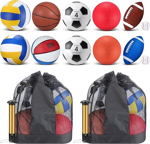 Miniatura 1 de Deekin 12 Pcs Assorted Sport Ball Set for Kids Official Size Basketball Football Volleyball Soccer Baseball Playground Ball with Bag and Pump for