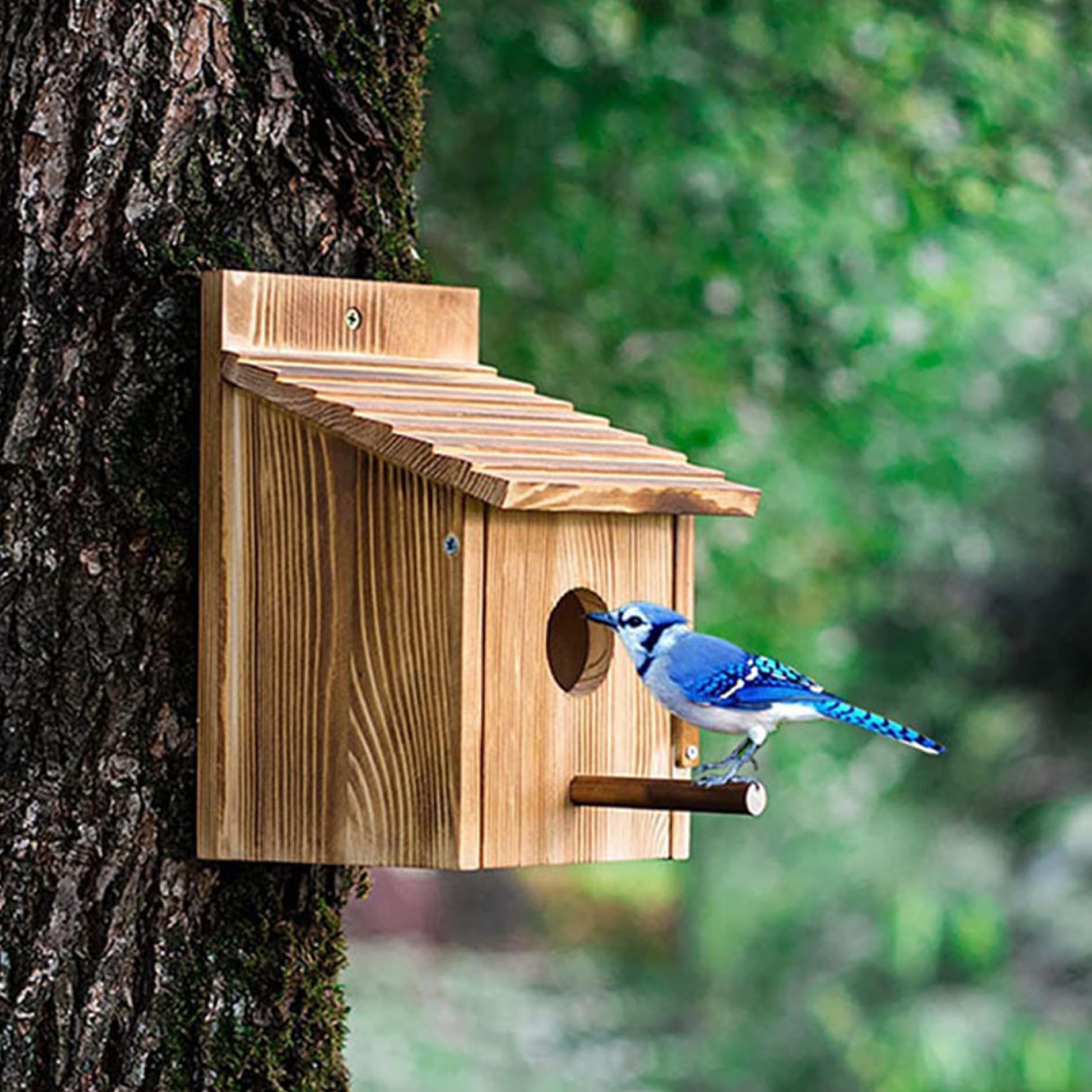 Nichoir à Oiseaux Bleus En Bois Pour Extérieur - Avec Poteau Debout Ou Montage Mural, 15x15x22 Cm, Jardin