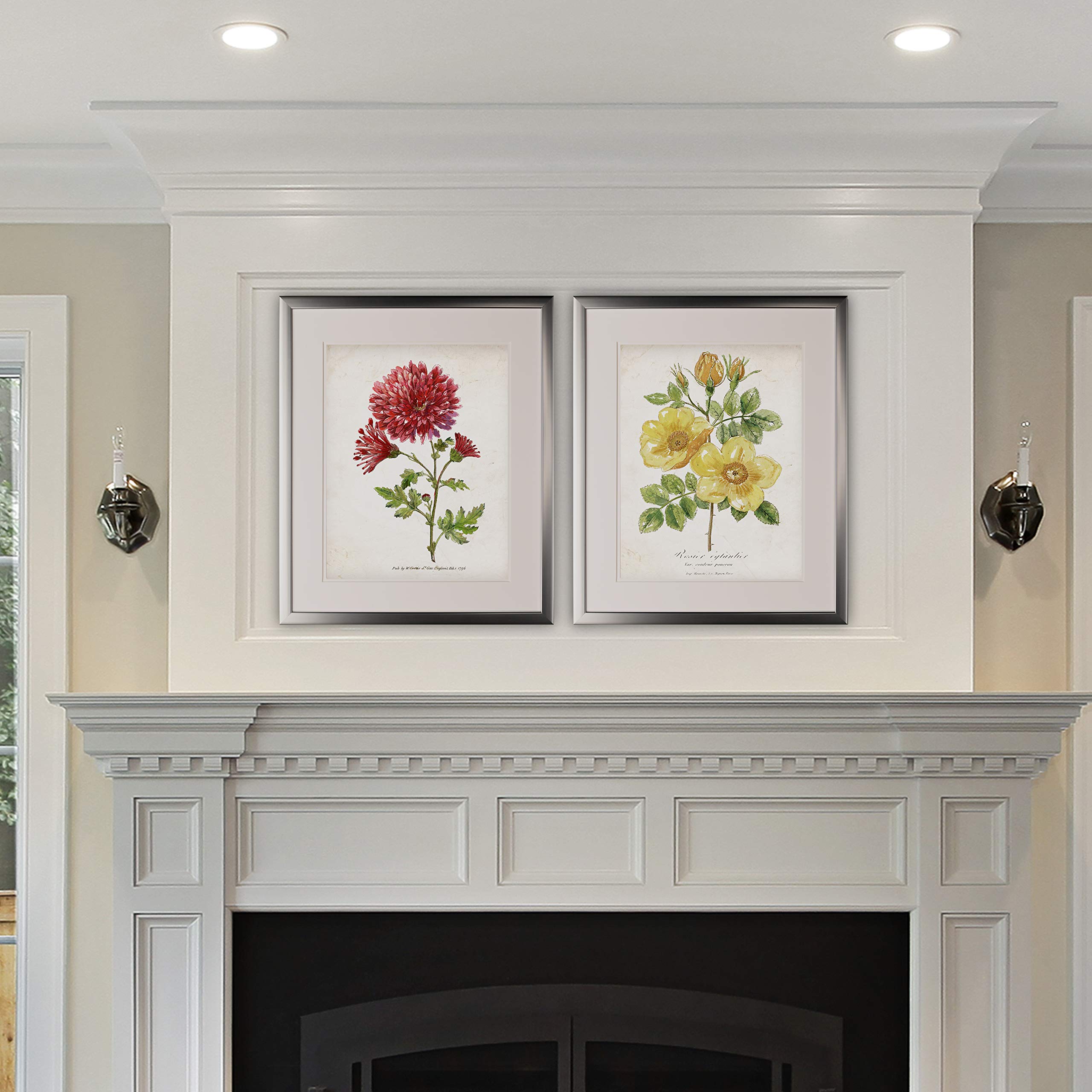 WEXFORD HOME2 Piece Set-Silver Frame Art Print, 16x20, Botanical III