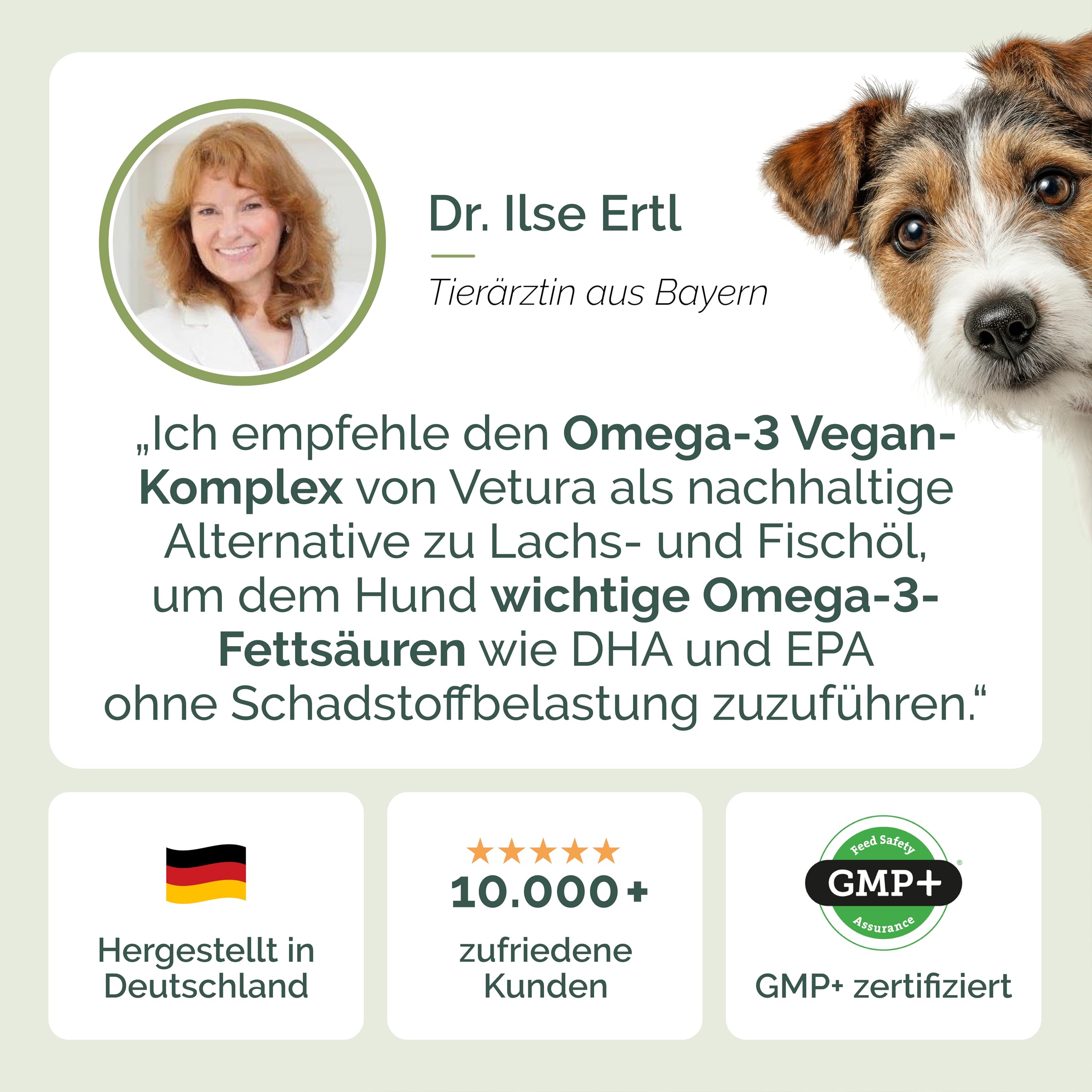 Omega-3 Öl Hund 100% vegan 2x500ml - Algenöl & DHA für Haut & Fell | Über 30 % Omega-3 (DHA & ALA) für eine ausgeglichene Nährstoffzufuhr im täglichen Futterplan, ideal zur BARF-Fütterung.