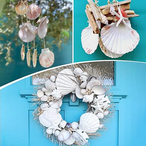 Miniatura 4 de 25 conchas de vieira grandes para manualidades de 3 a 5 pulgadas, conchas de vieira blancas grandes para manualidades, pintura, playa, boda,