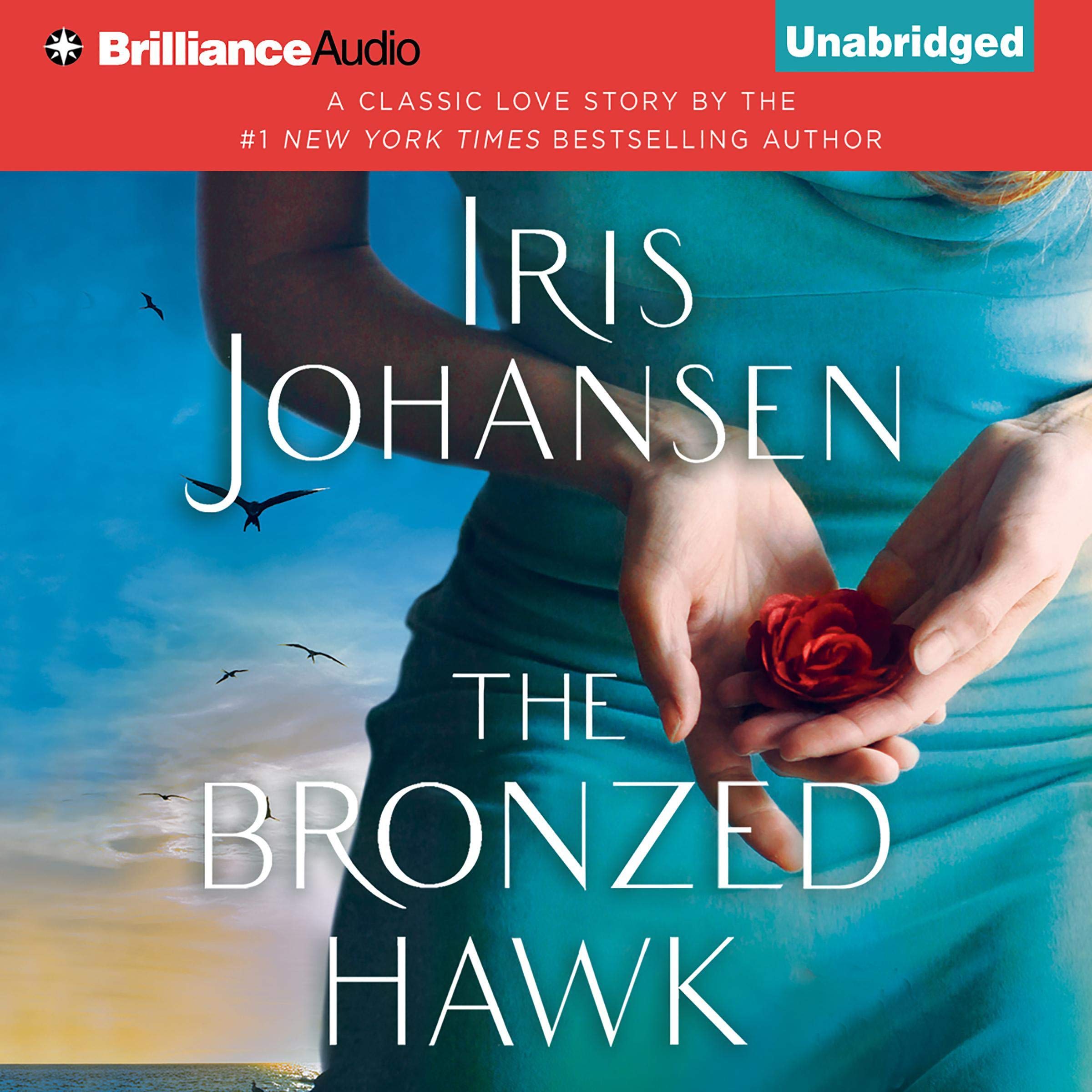 Cover art for The Bronzed Hawk