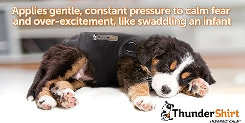 Miniatura 6 de ThunderShirt Polo - Chaqueta de ansiedad para perro, XL