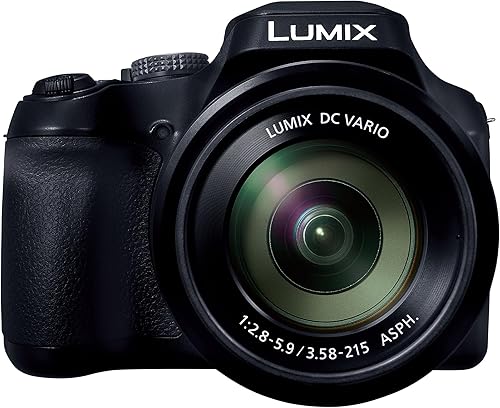 Panasonic LUMIX FZ80D - Cámara digital para apuntar y disparar, grabación de fotovideo 4K con estabilizador de imagen óptica de potencia, cámara de