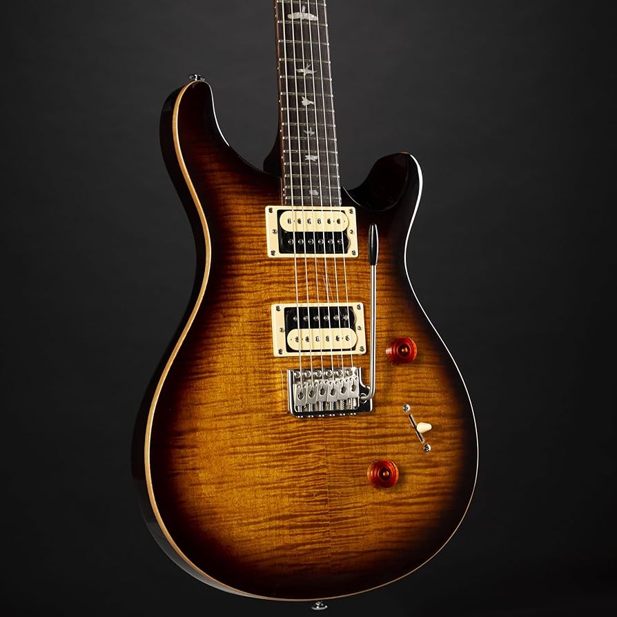 PRS SE Custom 24 ゴールド Amazon.com: PRS Paul Reed Smith 6 String SE Custom 24