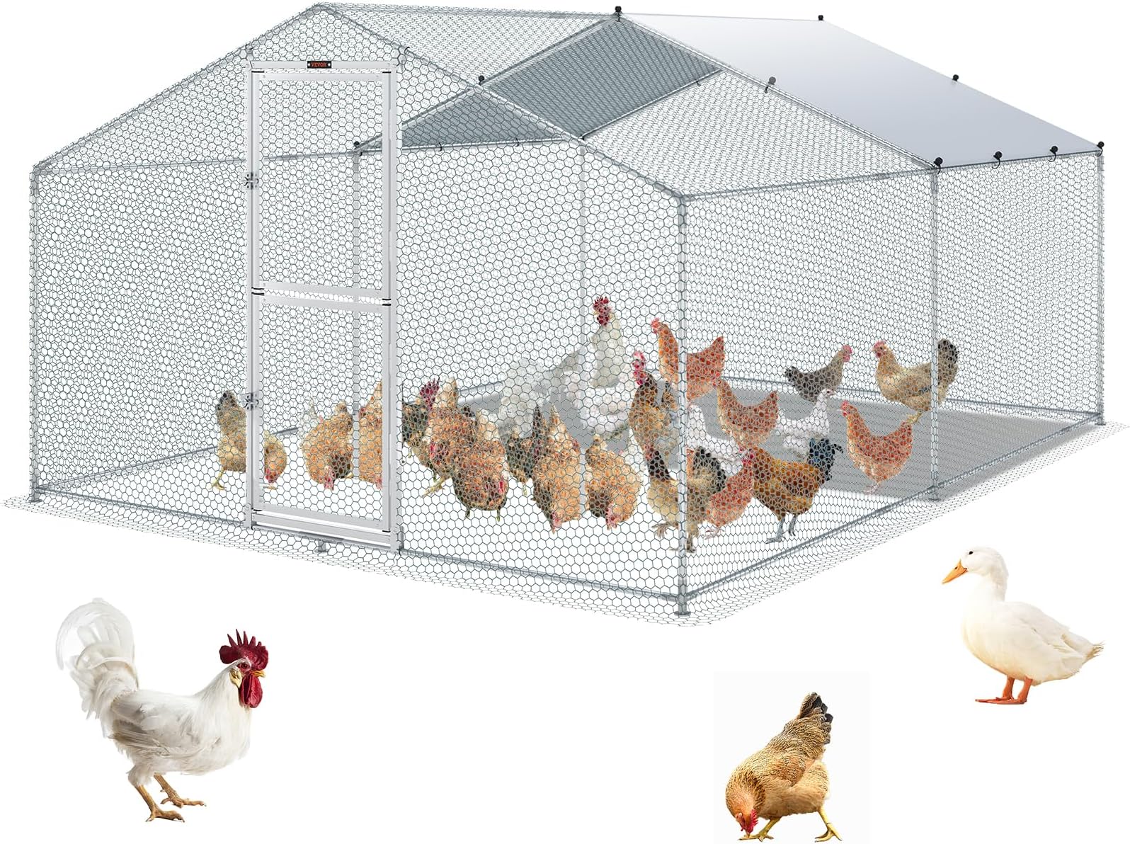 Alphapet® 4M Series 4m X 4m (32mm) Heavy Duty Walk In Galvanised Steel Chicken Run Coop - Alphapet - Foto 6