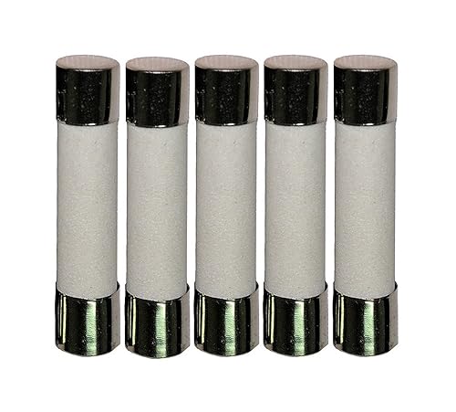 Fusible de cerámica Divine Lighting MDA 15A de soplado lento de 15 amperios 250v MDA15A; MDA15 MDA 15A fusible de retardo de tiempo de soplado