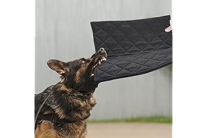 Indestructible Dog Bed: Your Ultimate Solution for Aggressive Chewers