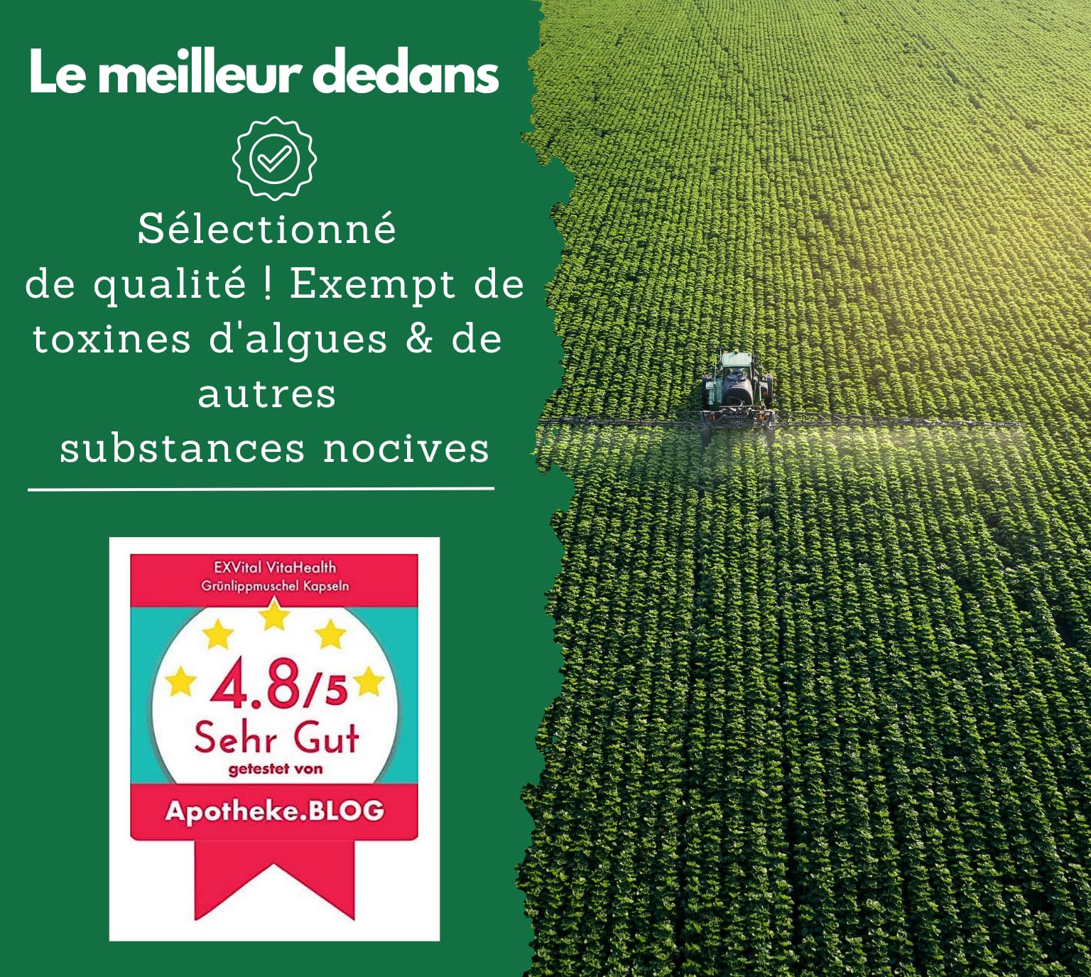 Moules aux orles Verts de Nouvelle-Zélande 1500 MG - Oméga 3 et glycosaminoglycanes - 300 gélules de Poudre de moules aux orles Verts, sans additif