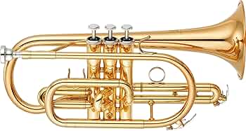 Amazon | YAMAHA YCR-4330GII B♭ コルネット (ヤマハ