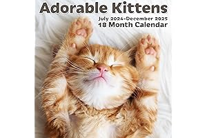 EcoEarth Biodegradable 11x22 Inch (Open) 18-Month Vertical Hanging Wall Calendar, Jul 2024...