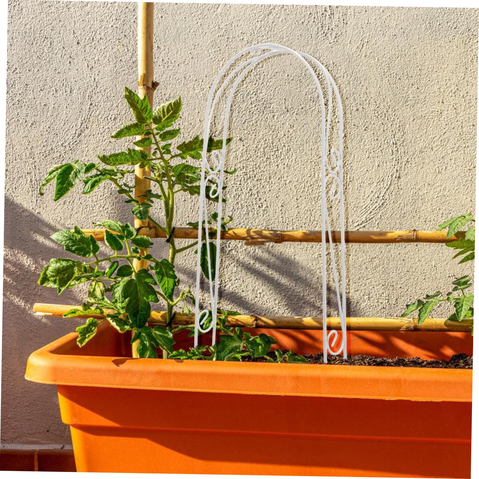 BESPORTBLE 5 Pièces Tuteurs pour Plantes d'intérieur Filets Treillis végétal Accessoire Jardinage Accessoires Jardinage Arche végétale pour Support Plante d'intérieur Poteau de Mousse Pliable